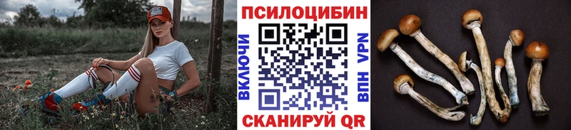 Галлюциногенные грибы MAGIC MUSHROOMS  закладки  Слюдянка 